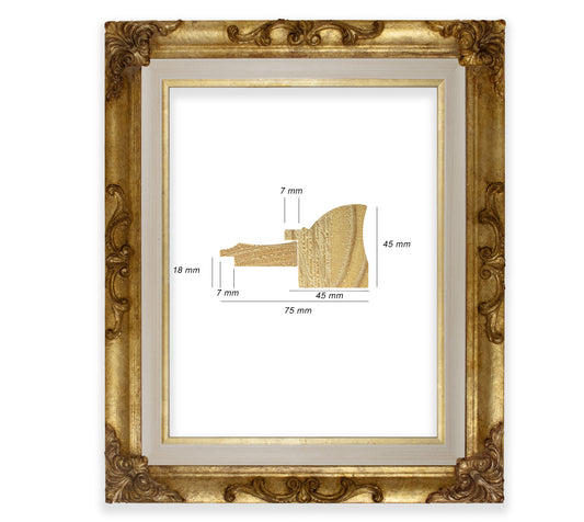 Baroque frame with gold leaf COR227010135