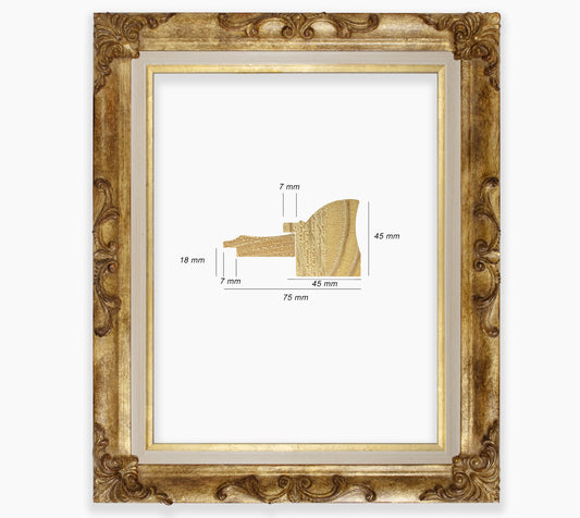 Baroque frame with antique gold leaf COR227230135